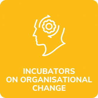 Incubators on organisational change