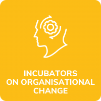 Incubators on organisational change